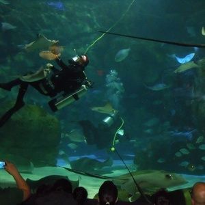 Meet your Posher, Noreen